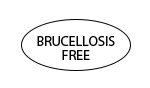 Bruc-Free