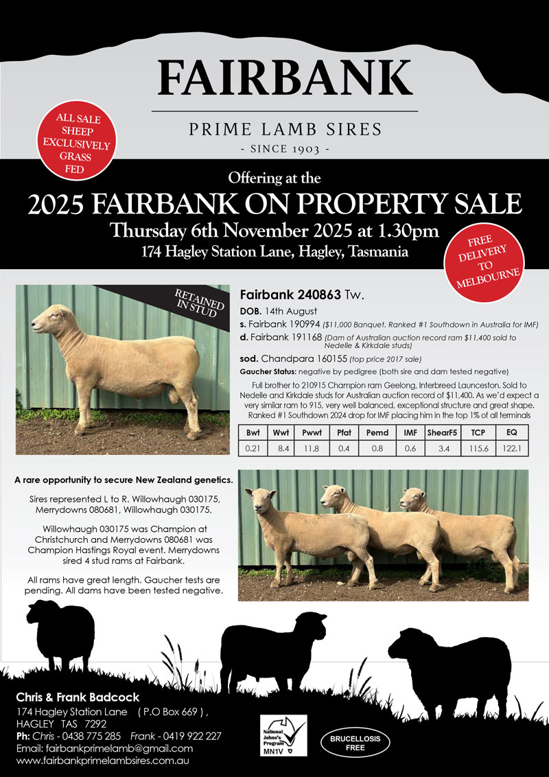 fairbank_flyer_2025-web-1