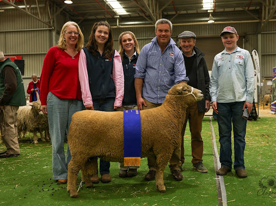 Bendigo Ch 240867